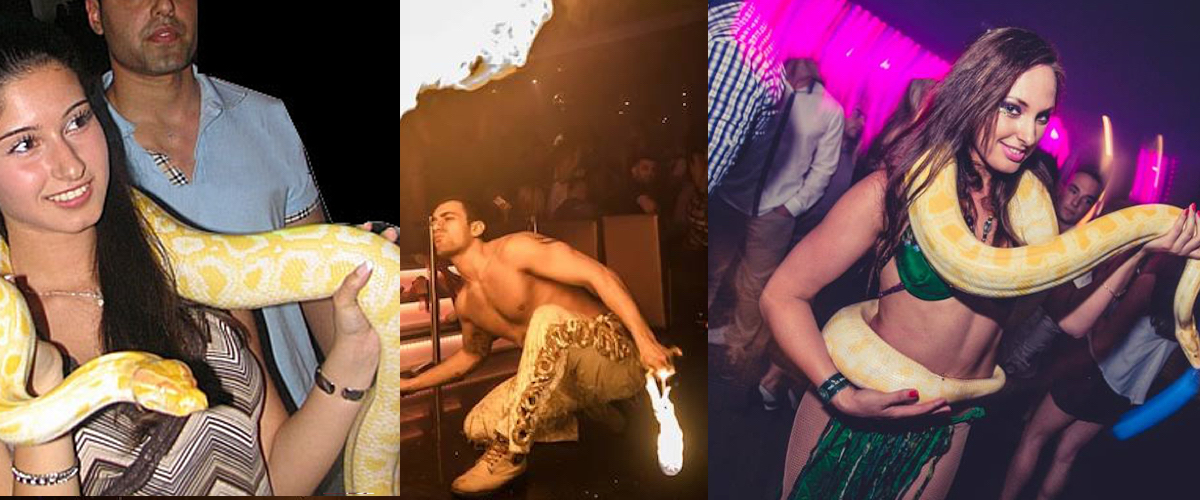 De beste prijzen voor danseres en slang